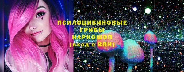 стафф Армянск