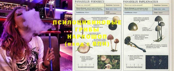дмт Арсеньев