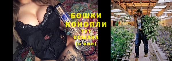 стафф Армянск